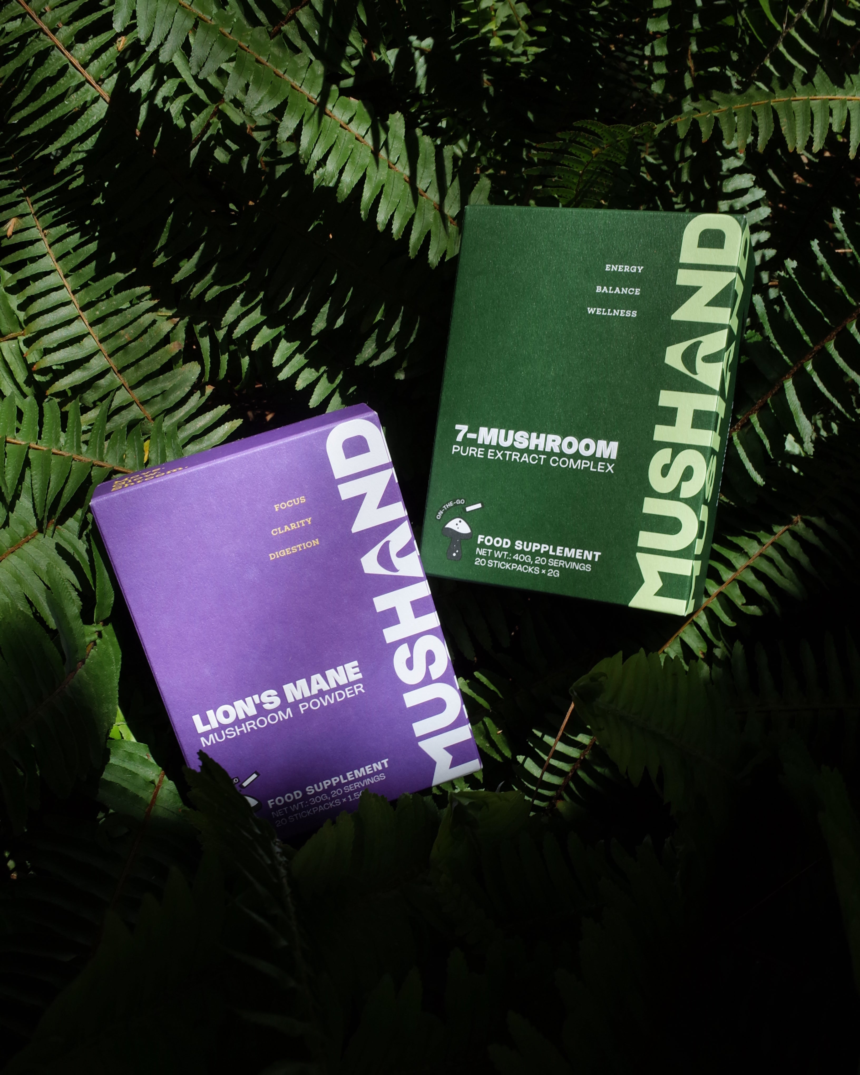 Everyday Mushroom Duo