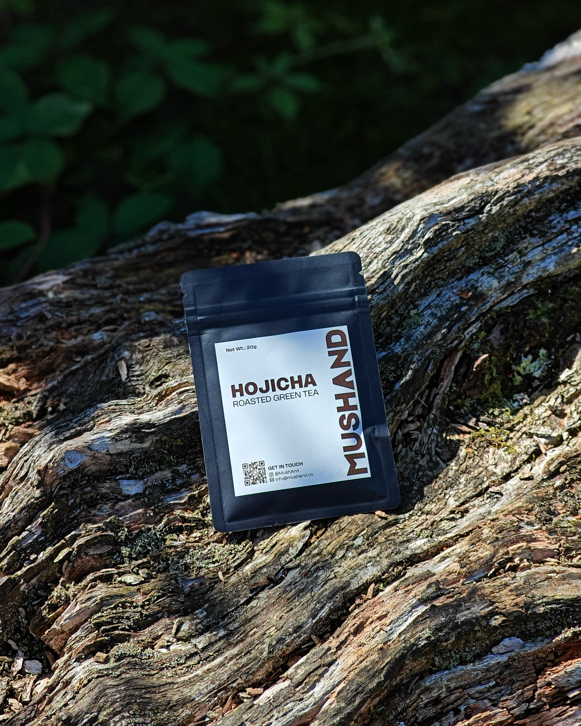 Hojicha Roasted Green Tea