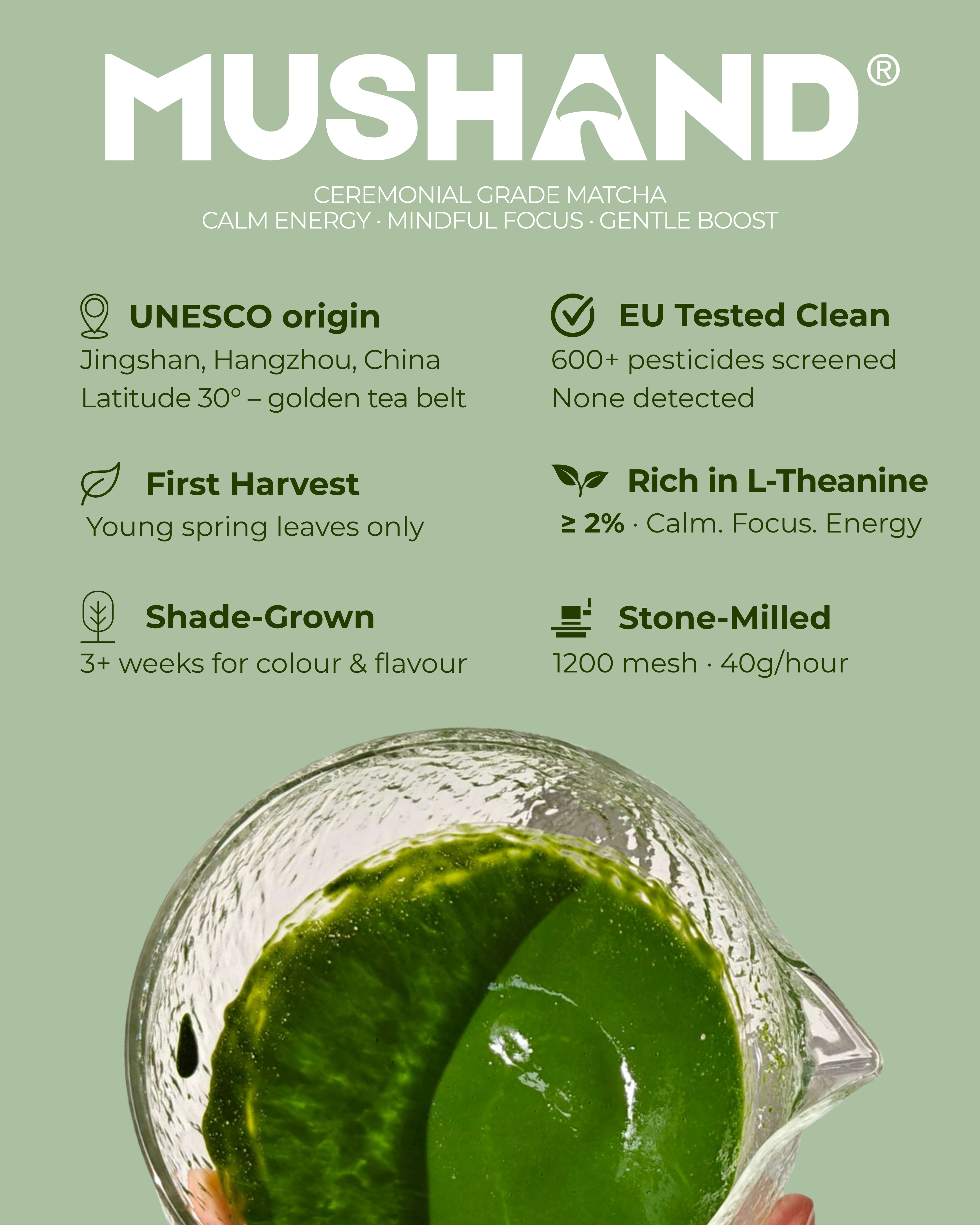 Ceremonial Grade Matcha