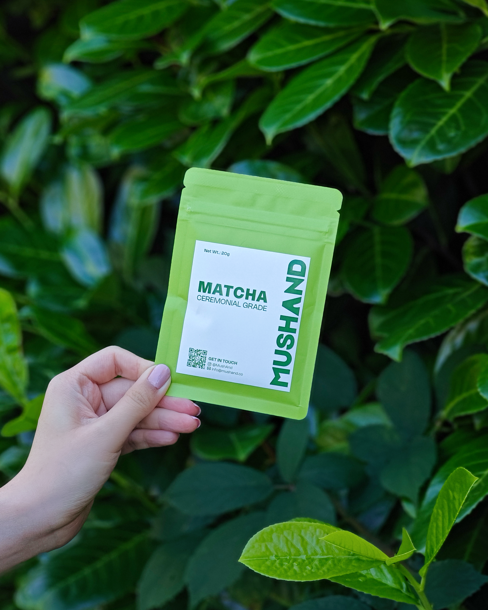 Ceremonial Grade Matcha