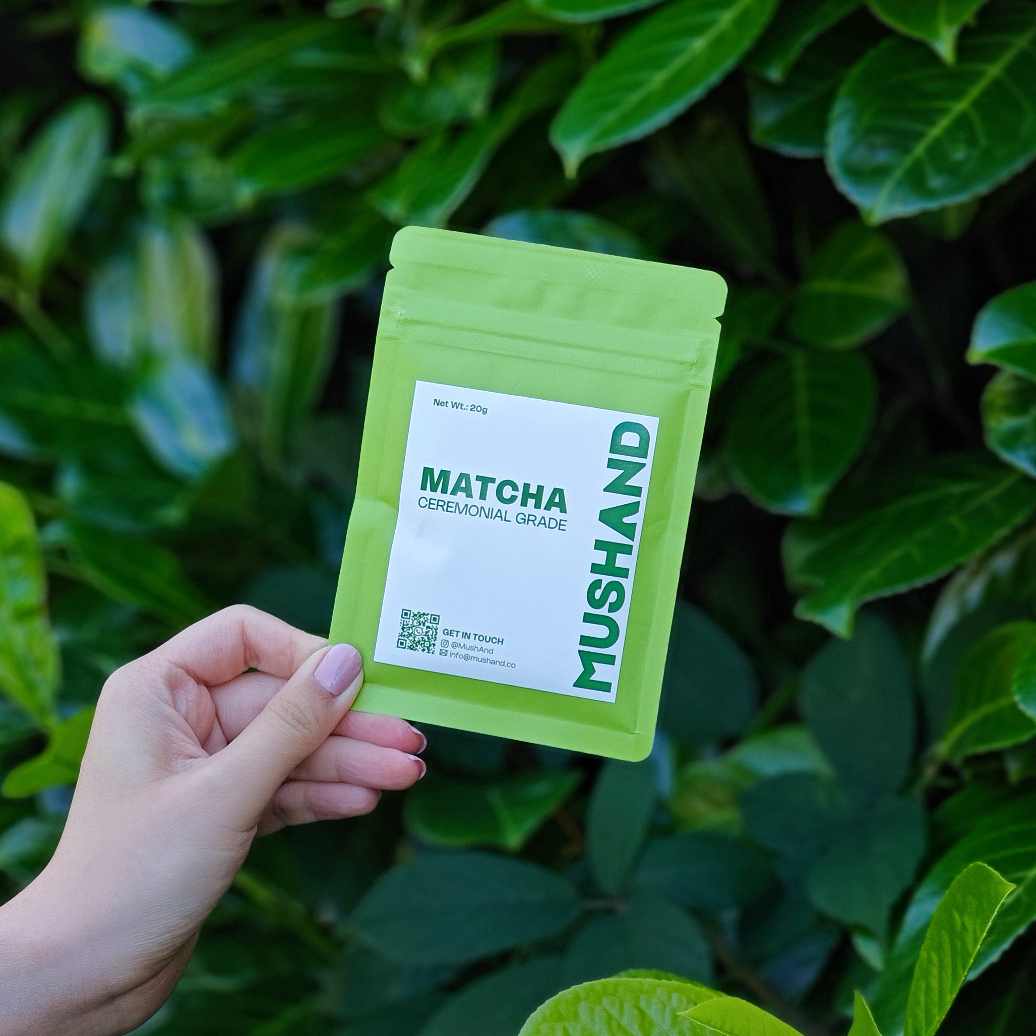 CALM · GENTLE BOOST