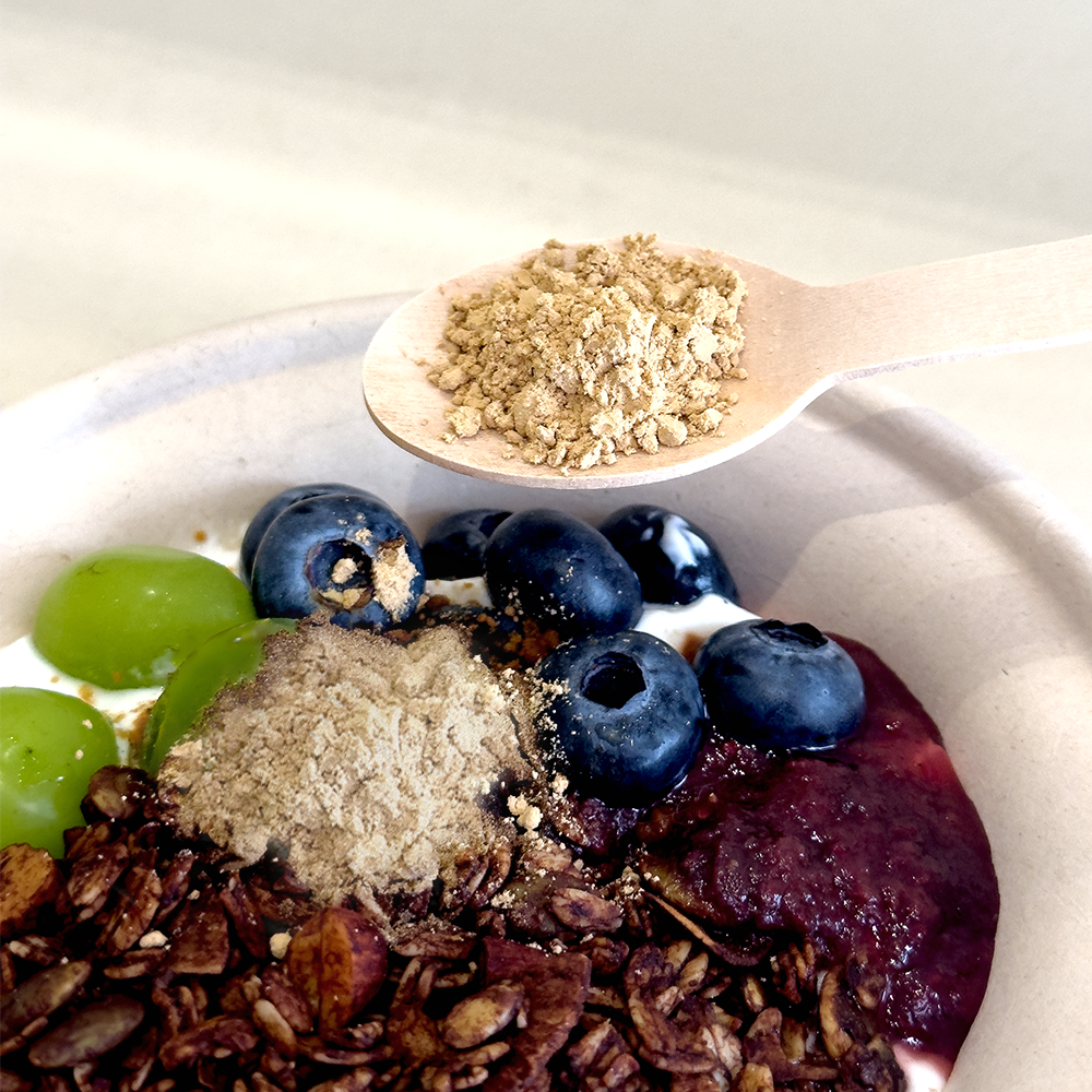 Lion's Mane Mushroom Powder